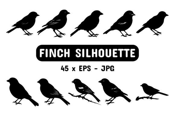 Download Finch Silhouette Set Collection Bundle - Premium Resources